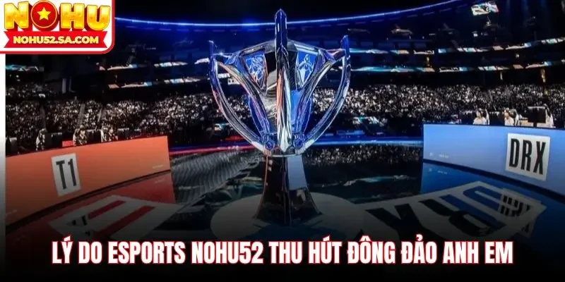 Lý do Esports Nohu52 thu hút đông đảo anh em